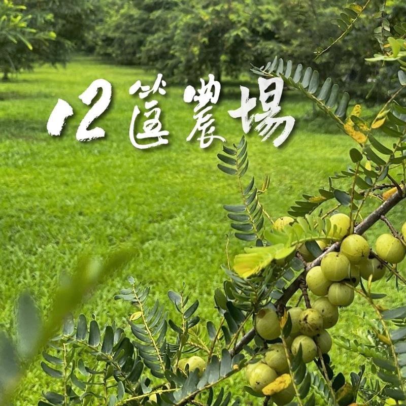 賀！12筐農場小農購物網 - 正式上線囉！