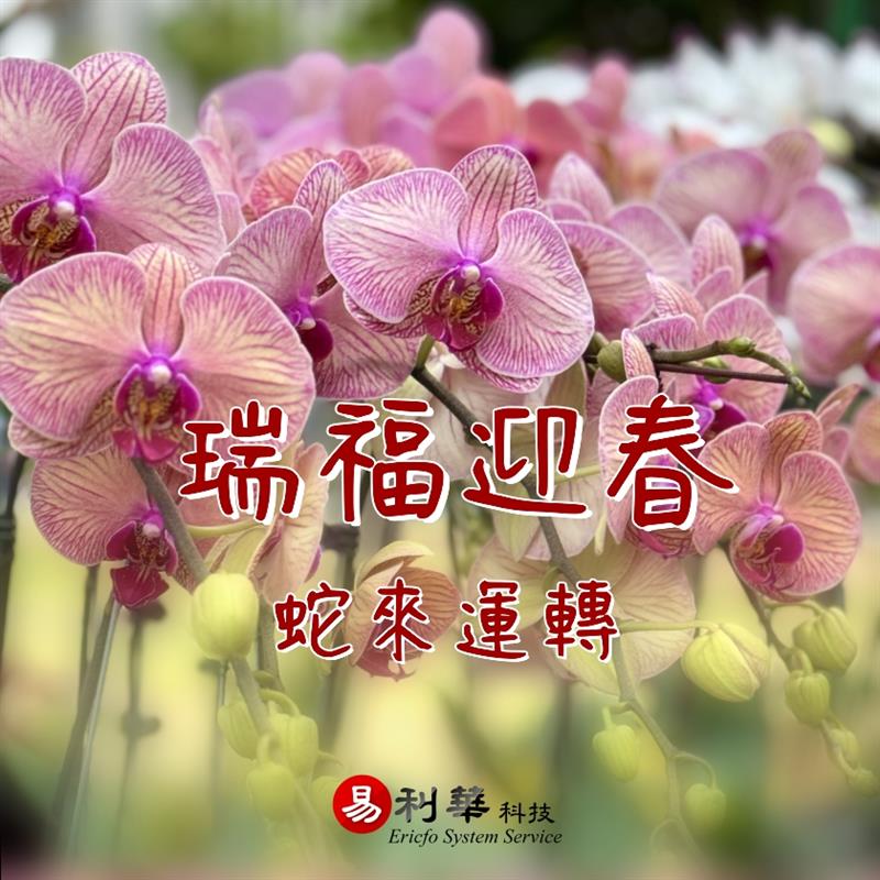 新春時節，祝福大家 - 蛇來運轉！