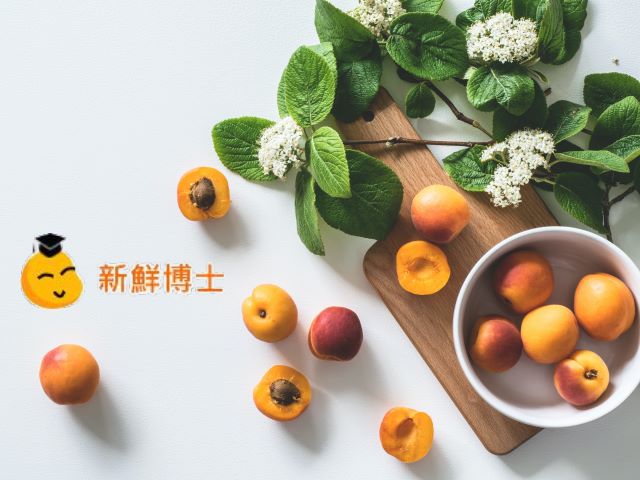 中小企業數位應用深耕計畫【群聚輔導】新鮮博士,高雄網站設計,高雄網路行銷,高雄網頁設計,MES智能報工