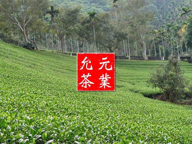 【高雄】允元茶葉,高雄網站設計,高雄網路行銷,高雄網頁設計,MES智能報工