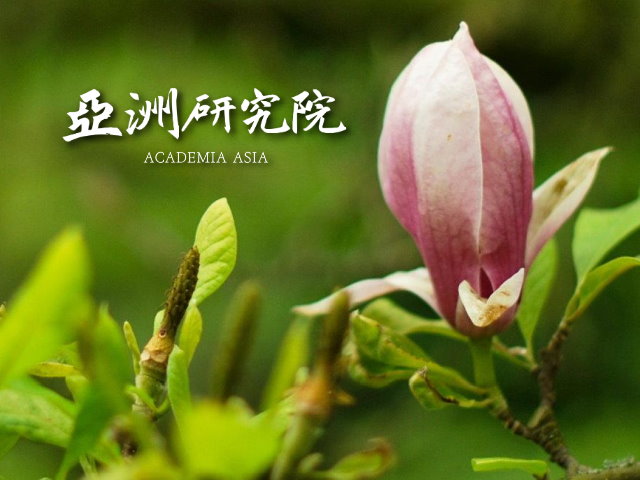 【台中】亞洲研究院,高雄網站設計,高雄網路行銷,高雄網頁設計,MES智能報工