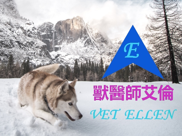 易利華科技,【台北】獸醫師艾倫 VetEllen