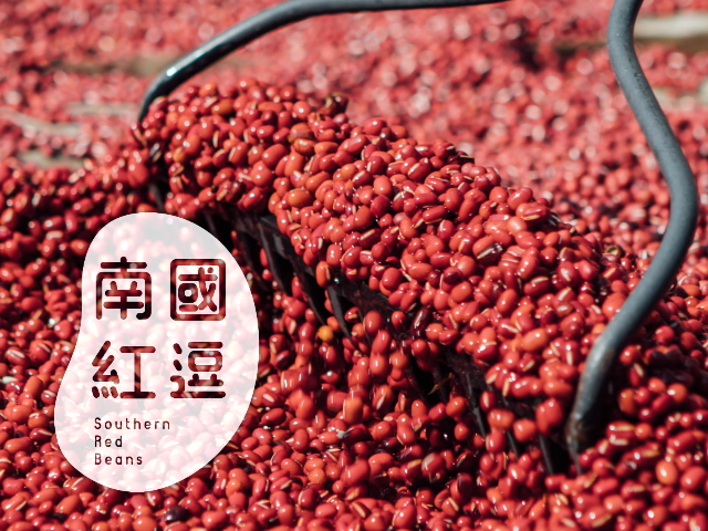 易利華科技,高雄網路行銷,高雄網頁設計,【屏東】南國紅逗