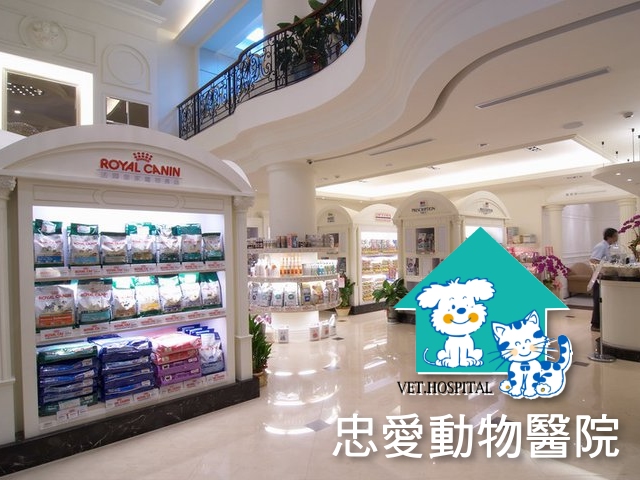易利華科技,高雄網路行銷,高雄網頁設計,【台中】忠愛動物醫院