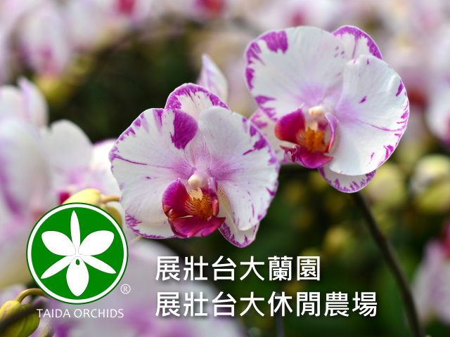 易利華科技,高雄網路行銷,高雄網頁設計,【彰化】展壯台大蘭園