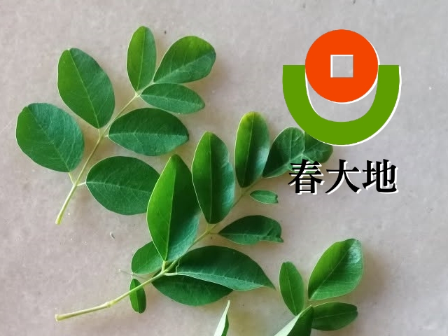 易利華科技,高雄網路行銷,高雄網頁設計,【雲林】春大地